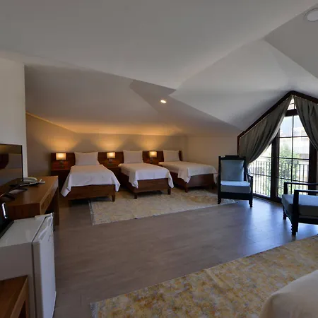 Hotel 23 3*